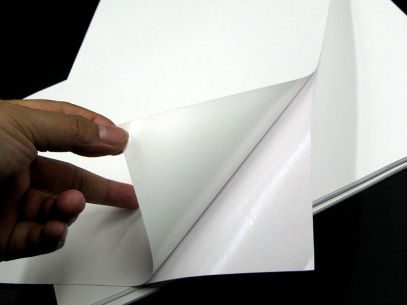 PP (Synthetic) Sticker